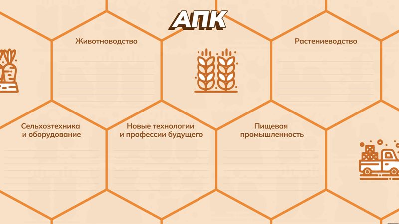 Профориентационное занятие  «Россия плодородная: узнаю о профессиях и достижениях агропромышленного комплекса страны».