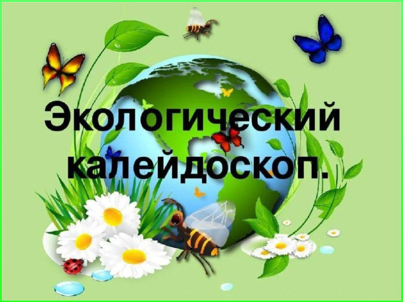 Урок &amp;quot;Экология&amp;quot; из телепередачи &amp;quot;Школа Шишкиного леса&amp;quot;.